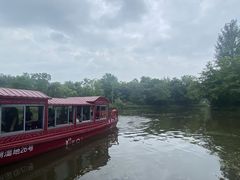 -溱湖国家湿地公园