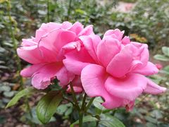 -共青国家森林公园-售票处