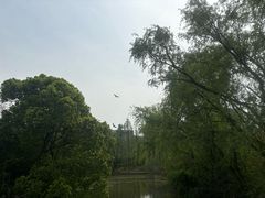 -浙江大学(紫金港校区)