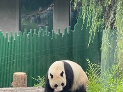 -沈阳森林动物园