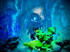 -海合安成都极地海洋公园