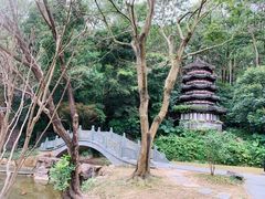 -深圳国际园林花卉博览园