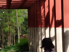 -重庆彩云湖湿地公园