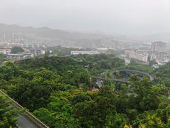-福道