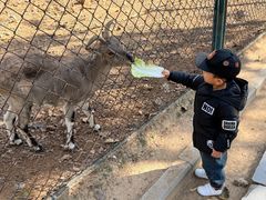 -大连森林动物园