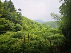 -藏龙百瀑风景区