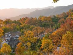 -塔川景区