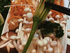 -慢丽江·云南野生菌土鸡锅(西山店)