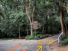 -紫金山山顶公园
