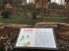 -昆山城市生态森林公园