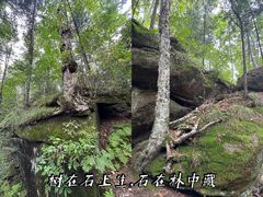 -汤旺河林海奇石景区