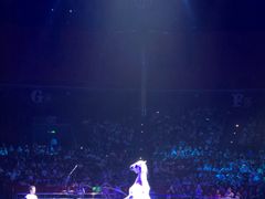 -珠海横琴长隆《卡卡虎奇遇记》