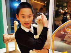 -飞行喵MR PILOT|猫舍·猫咖(静安大融城店)
