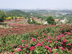 -密云玫瑰情园