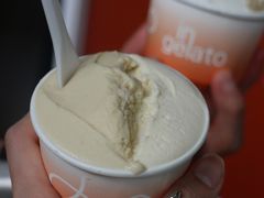-Dip in Gelato(富民路店)