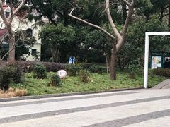 -兰溪青年公园