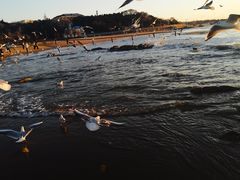 -老虎石海上公园