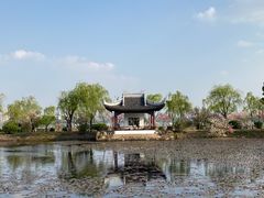 -无锡蠡湖国家湿地公园-蠡园