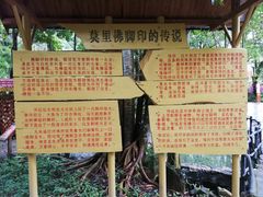 -莫里热带雨林景区