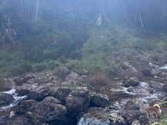 -东白山