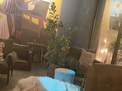 -咖法森林·咖啡  酒吧(天河店)