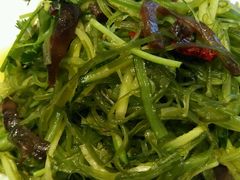 海参裙带菜-渔公码头·九龙湾国际饭店