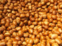 -阿男野栗王(金门路店)