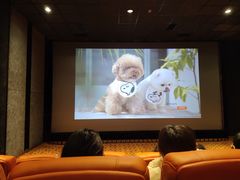 -华美国际影城(旧宫永辉店)