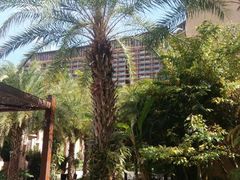 -三亚湾红树林度假世界(木棉酒店)