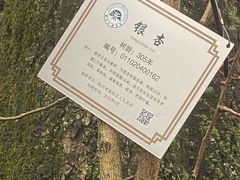 -径山寺