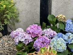 -樾餐厅泰式海鲜火锅(民歌湖店)