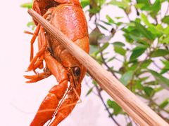 -浮何烤铺(桐梓林店)