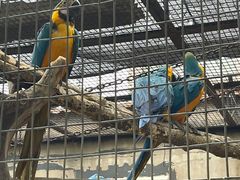 -石家庄市动物园