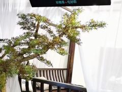 -上地宴·中关村的会客厅(清河高铁站店)
