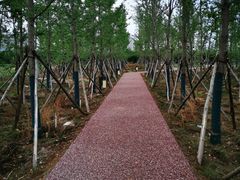 -汉长安城未央宫国家考古遗址公园