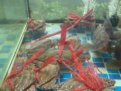 -明珠海港大酒店