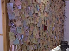 -白兔子密室(长寿路店)