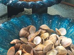 -视界美食自助餐厅·石家庄希尔顿酒店