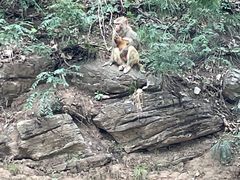 -北京上方山国家森林公园