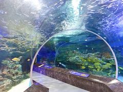 -海合安成都极地海洋公园