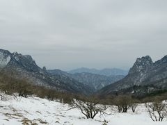 -秦岭风景区
