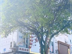 -潼南太安名鱼•特色江湖菜 太安鱼