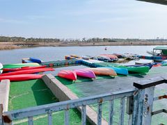 -春花秋色城市公园