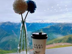 -达瓦更扎