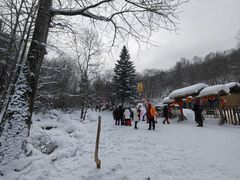 -雪谷