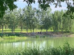 -马家湾湿地公园