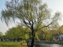 -共青国家森林公园-售票处