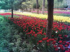 -石家庄市植物园