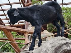 -长鹿旅游休博园