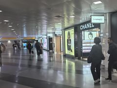 -约翰·菲茨杰拉德·肯尼迪国际机场